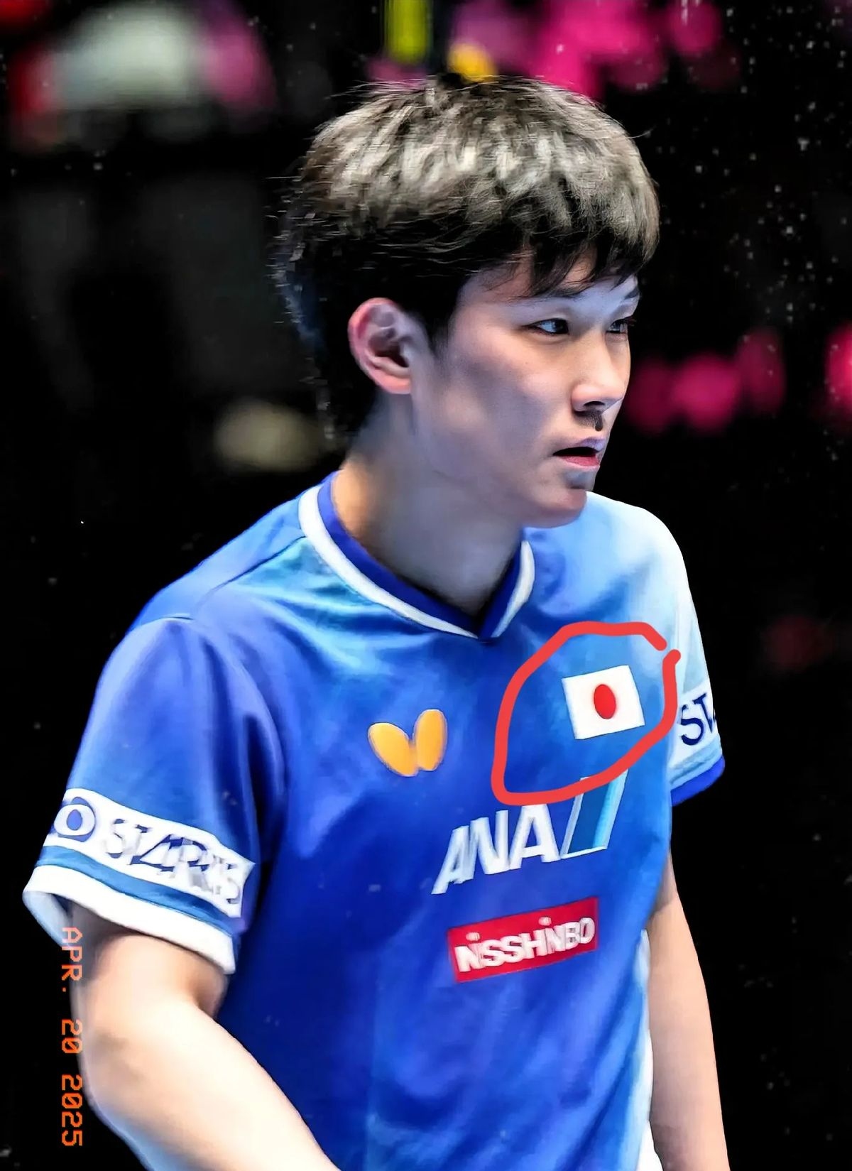 关于日本乒乓球队完胜德国乒乓球队,张本智和高光表现的信息 关于日本乒乓球队完胜德国乒乓球队,张本智和高光表现的信息