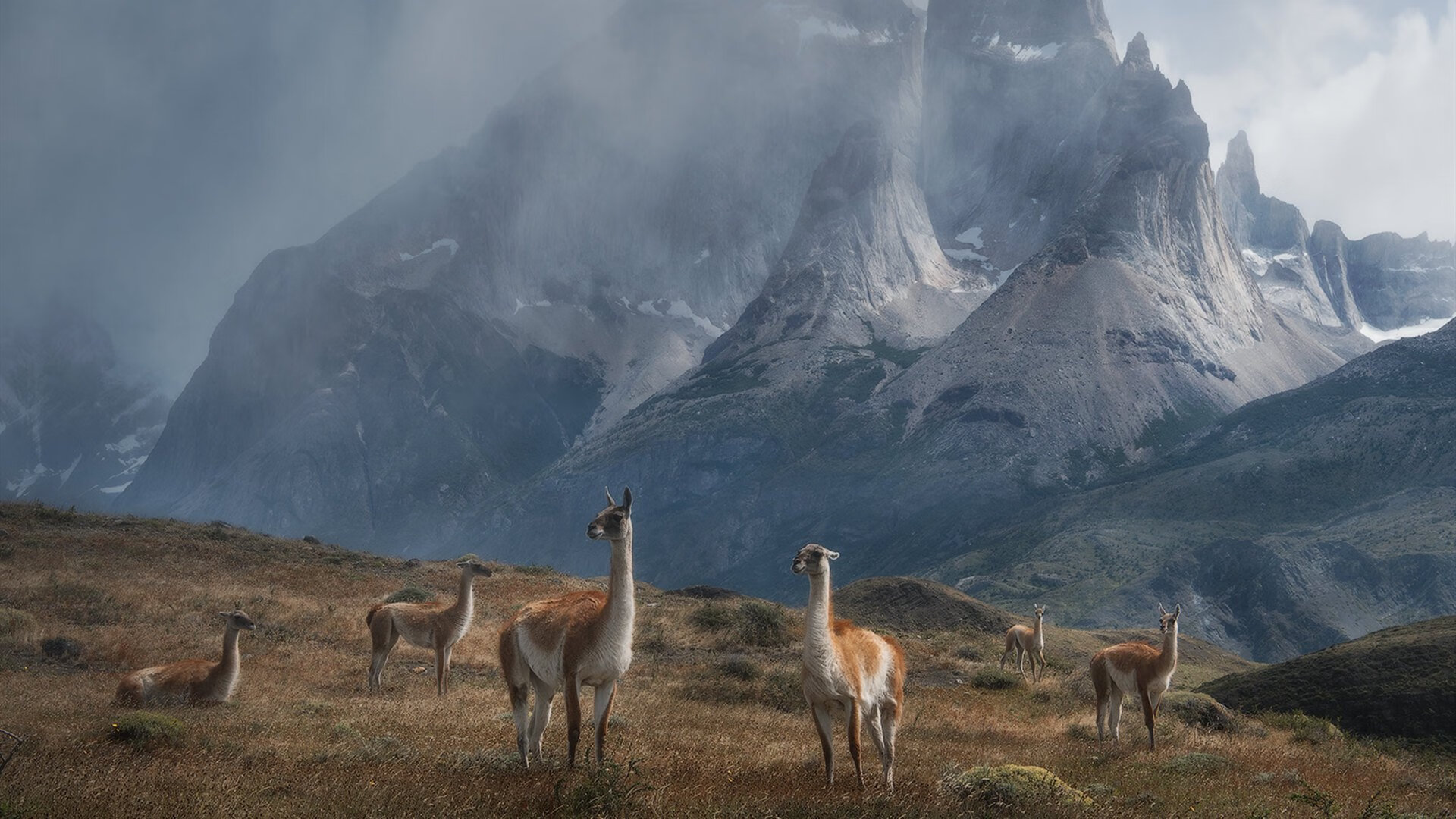 恩佐关键战不手软，几内亚新星闪耀勒沃库森